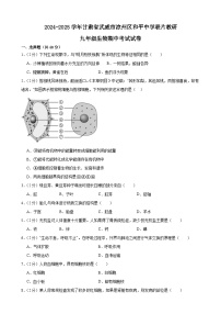 甘肃省武威市凉州区和平中学联片教研2024-2025学年九年级上学期生物期中考试试卷