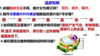 初中人教版（2024）第三节 动物细胞教学演示ppt课件
