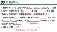人教版(2024)七年级上册(2024)第二节 动物体的结构层次教学课件ppt