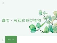 初中生物人教版（2024）七年级上册（2024）第一节 藻类、苔藓和蕨类教学ppt课件