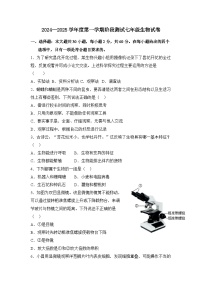 广东省江门市恩平市圣堂中学2024-2025学年七年级上学期10月月考生物试题