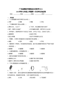 广东省揭阳市揭西县五校联考2024-2025学年七年级上学期第一次月考生物试卷(含答案)