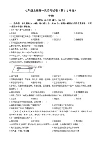 广东省湛江市雷州市第八中学2024-2025学年七年级上学期10月月考生物试题(无答案)