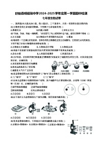 江苏省淮安市盱眙县明祖陵中学2024-2025学年七年级上学期期中生物试题