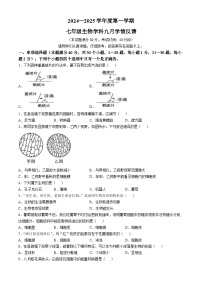 山东省青岛即墨区某校2024-2025学年七年级上学期第一次月考生物试题(无答案)
