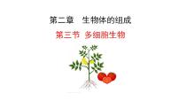 苏教版（2024）七年级上册（2024）第3节 多细胞生物集体备课课件ppt