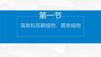 初中生物苏教版（2024）七年级上册（2024）第1节 藻类和苔藓植物、蕨类植物示范课ppt课件