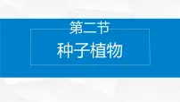苏教版（2024）七年级上册（2024）第2单元 生物的多样性第3章 形形色色的藻类和植物第2节 种子植物集体备课课件ppt
