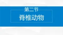 初中生物苏教版（2024）七年级上册（2024）第2节 脊椎动物课文配套ppt课件