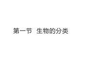 生物七年级上册（2024）第1节 生物的分类图片ppt课件