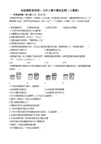 吉林省吉林市第五中学2024-2025学年七年级上学期期中测试生物试卷