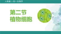 人教版（2024）七年级上册（2024）第二节 植物细胞教课课件ppt