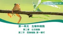 初中生物第二节 植物细胞备课ppt课件
