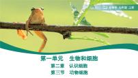 人教版（2024）第三节 动物细胞评课课件ppt