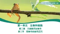 人教版（2024）七年级上册（2024）第三节 植物体的结构层次课堂教学课件ppt