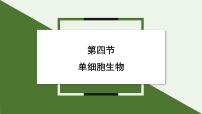 初中生物人教版（2024）七年级上册（2024）第四节 单细胞生物教案配套ppt课件