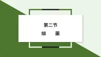 生物人教版（2024）第二节 细菌课文ppt课件