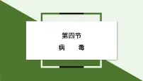 人教版（2024）七年级上册（2024）第二单元 多种多样的生物第三章 微生物第四节 病毒集体备课ppt课件