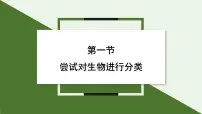 人教版（2024）七年级上册（2024）第一节 尝试对生物进行分类示范课ppt课件
