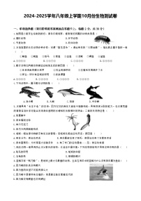 广西南宁市第三中学2024-2025学年八年级上学期10月份生物测试卷