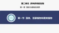 人教版（2024）七年级上册（2024）第一节 藻类、苔藓和蕨类多媒体教学ppt课件