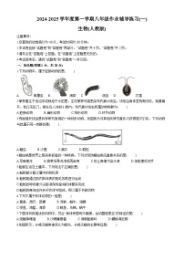 安徽省亳州市利辛县利辛中学2024-2025学年八年级上学期10月月考生物试题(无答案)
