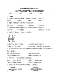 辽宁省大连市瓦房店市2024-2025学年八年级上学期10月份练习生物试卷(含答案)
