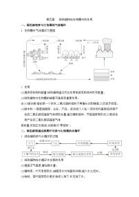 初中生物冀少版（2024）八年级上册第五章  绿色植物在生物圈中的作用导学案及答案