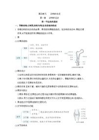 冀少版（2024）八年级上册第一章  种子的萌发和芽的发育综合与测试导学案