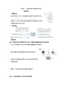 初中生物冀少版（2024）八年级上册第三单元  植物的生活第五章  绿色植物在生物圈中的作用导学案