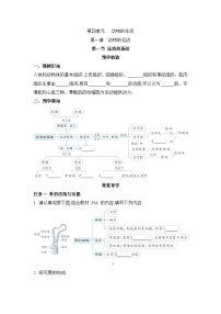 冀少版（2024）八年级上册第一章  种子的萌发和芽的发育综合与测试学案及答案