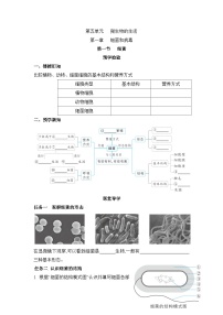 冀少版（2024）八年级上册第五单元  微生物的生活第一章 细菌和病毒第二节 病毒导学案