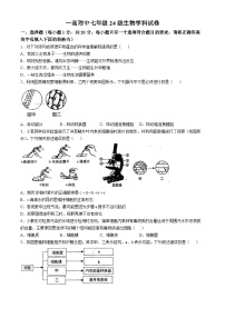 河南省南阳市淅川县第一高级中学附属学校2024-2025学年七年级上学期10月月考生物试题(无答案)