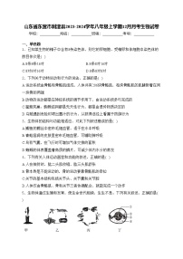 山东省东营市利津县2023-2024学年八年级上学期12月月考生物试卷(含答案)