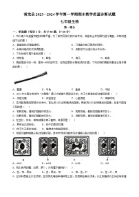 河北省秦皇岛市青龙满族自治县2023-2024学年七年级上学期期末生物学试题