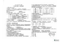 山东省德州市宁津县第四实验中学2024-2025学年七年级上学期10月月考生物试题