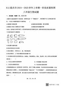 重庆市巴南区实验中学教育联盟2024-2025学年八年级上学期10月月考生物试题