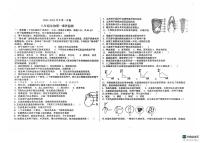 山东省德州市宁津县第四实验中学2024-2025学年八年级上学期10月月考生物试题