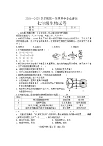 河北省唐山市滦南县2024-2025学年七年级上学期10月期中生物试题