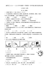 甘肃省天水市麦积区2024-2025学年七年级上学期10月期中生物试题