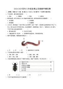 八年级生物期中模拟卷【测试范围：人教版2024第一单元及第二单元第一章】（考试版A4）（河南专用）