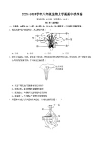 八年级生物期中模拟卷【测试范围：前两章】（考试版A4）（济南版）