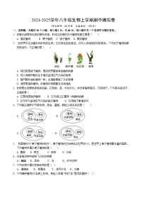 八年级生物期中模拟卷（考试版A4）（安徽专用）