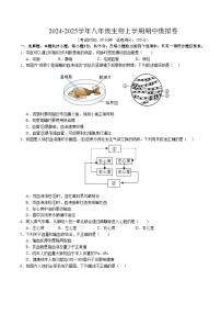 八年级生物期中模拟卷（考试版A4）（江苏专用，苏科版）