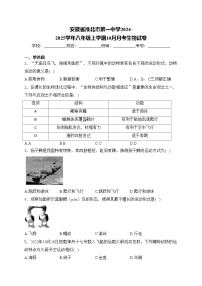 安徽省淮北市第一中学2024-2025学年八年级上学期10月月考生物试卷(含答案)