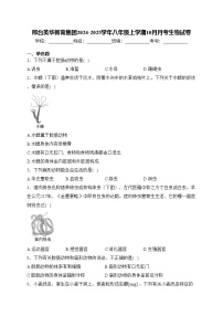 邢台英华教育集团2024-2025学年八年级上学期10月月考生物试卷(含答案)