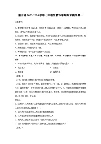 湖北省2023-2024学年七年级生物下学期期末模拟卷一生物（解析版）