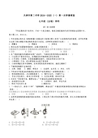 天津市第二中学2024-2025学年七年级上学期第一次月考生物试题