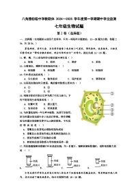 湖北省随州市曾都区教联体多校2024-2025学年七年级上学期10月期中生物试题