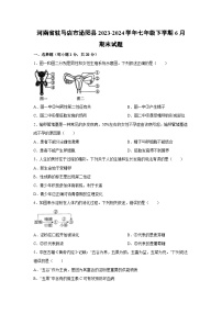 河南省驻马店市泌阳县2023-2024学年七年级下学期6月期末生物试卷